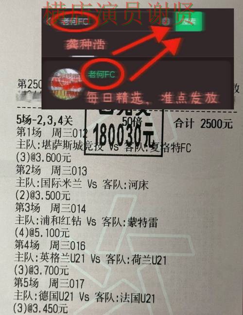 贝博世界杯投注网站入口与赔率分析
