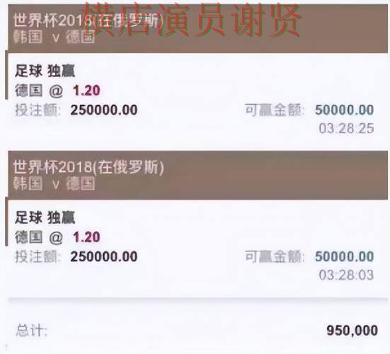 世界杯投注平台解析报告：访问方式+直播与实际体验总结 - 世界杯高清直播